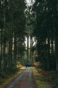 Groep mensen wandelen in bos